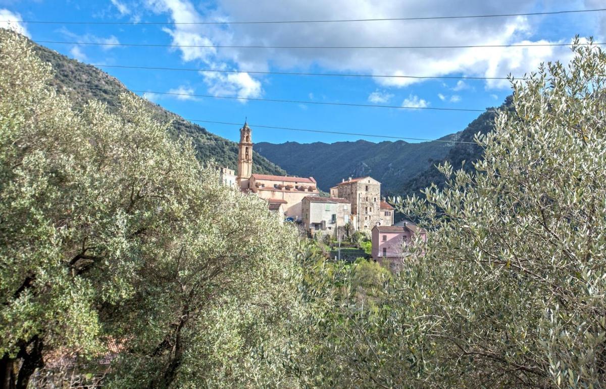 Апартаменты Casa Torra Omessa Экстерьер фото